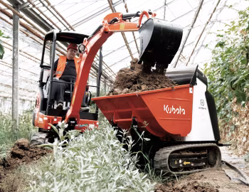 Kubota KX019-4 SI HGL '2021–н.в.