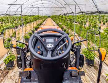 Торпедо Kubota LX-351 ROPS '2021–н.в.