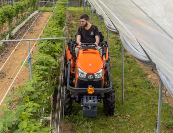 Kubota LX-351 ROPS '2021–н.в.