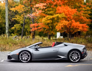 Lamborghini Huracán LP 610-4 Spyder [North America] (LB724) '2015–19