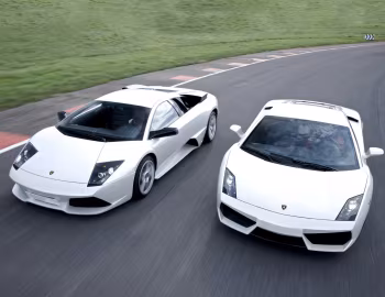 Lamborghini Gallardo LP 560-4, Lamborghini Murciélago Coupe