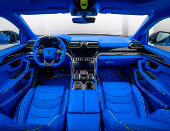 Painel frontal Mansory Venatus Evo '2020