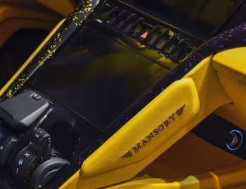 Interior Mansory Venatus Evo "50th UAE" '2021