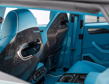 Interior Mansory Venatus Coupé Evo C '2023