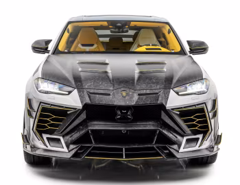 Mansory Venatus Evo S '2023