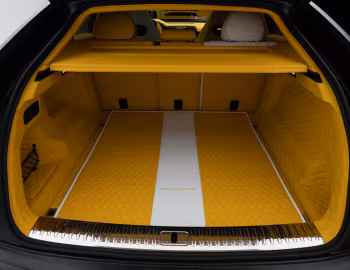 Porta-malas Mansory Venatus Evo S '2023
