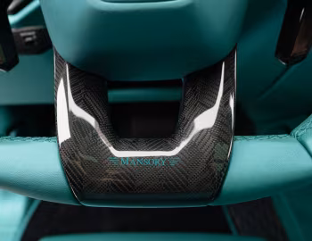 Interior Mansory Venatus S '2023