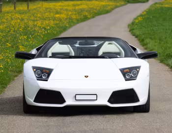 Lamborghini Murciélago LP 640 Roadster "VERSACE" '2008