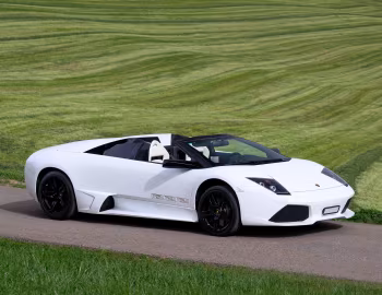 Lamborghini Murciélago LP 640 Roadster "VERSACE" '2008