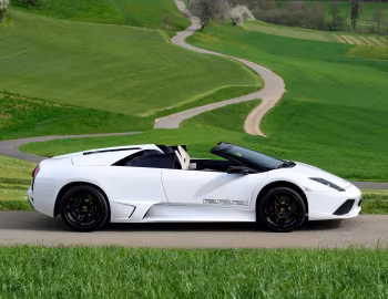 Lamborghini Murciélago LP 640 Roadster "VERSACE" '2008