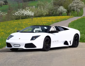 Lamborghini Murciélago LP 640 Roadster "VERSACE" '2008