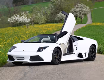 Lamborghini Murciélago LP 640 Roadster "VERSACE" '2008