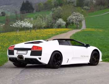 Lamborghini Murciélago LP 640 Roadster "VERSACE" '2008