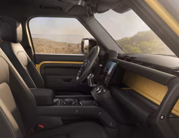 Interior Defender Trophy [Worldwide] (110) '2025–pr.
