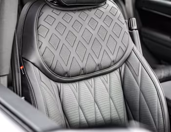 Interior Racing Green Fintail (L460) '2023–pr.