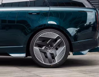 Racing Green Fintail (L460) '2023–pr.