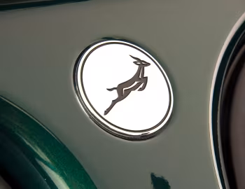 Range Rover Sport SVR "Springboks" by SVO (L494) '2019