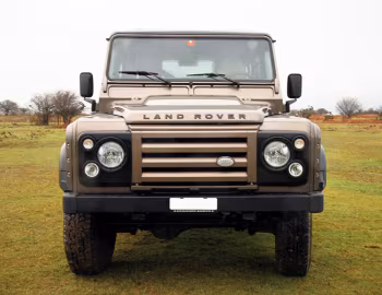 Wildcat Defender V8 '2014