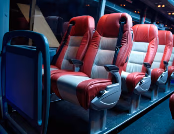 Interior ЛАЗ-4207DM "НеоЛАЗ" '2012–14