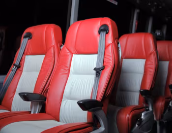 Interior ЛАЗ-4207DM "НеоЛАЗ" '2012–14
