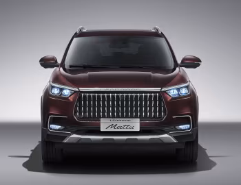 Leopaard Mattu '2018–20