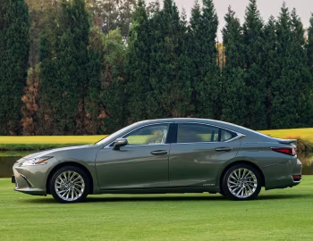 Lexus ES 300h [South Africa] '2021–25