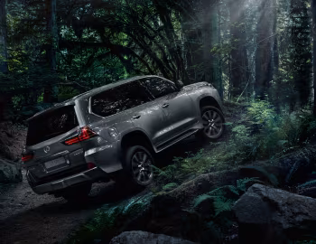 Lexus LX 570 [CIS] (URJ200) '2015–22