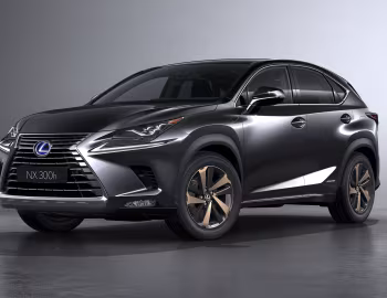Lexus NX 300h [Worldwide] '2017–21