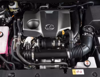 Bajo el capó Lexus NX 300 [South Africa] '2017–21