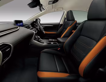 Інтер'єр Lexus NX 300 [Japan] '09.2017–10.2021
