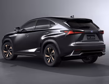 Lexus NX 300h [Worldwide] '2017–21