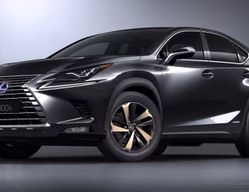 Lexus NX 300h [Worldwide] '2017–21