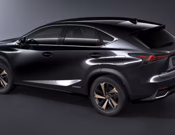 Lexus NX 300h [Worldwide] '2017–21