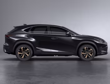 Lexus NX 300h [Worldwide] '2017–21