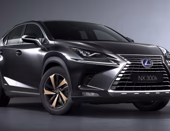 Lexus NX 300h [Worldwide] '2017–21