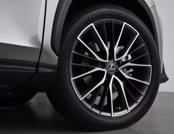 2022–pr. Lexus NX 350 [North America] '2021–pr.