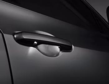 2022–pr. Lexus NX 350 [North America] '2021–pr.