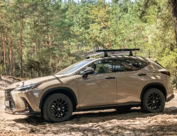 Lexus NX 350h Overtrail [EU-spec] '2024–pr.