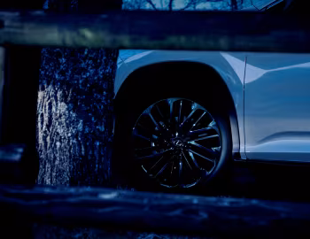 Lexus RX 450h "Black Tourer" [Japan] '11.2021–11.2022