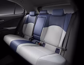Интерьер Lexus UX 300e [Worldwide] '2020–н.в.