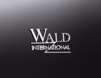 WALD Lexus LX 600 Sports Line Black Bison Edition '2023–pr.