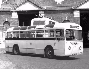 Leyland Tiger Cub PSUC1/1 Park Royal [UK-spec] (B41D) '1955