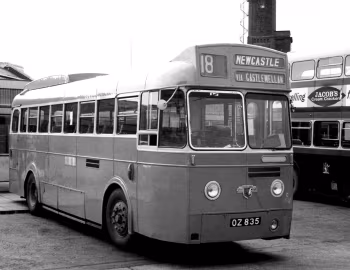 Leyland Royal Tiger PSU1/11 UTA [UK-spec] (B42F) '1953