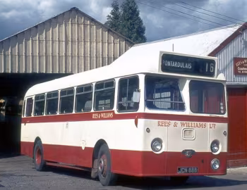 Leyland Tiger Cub PSUC1/1 Willowbrook [UK-spec] (B45F) '1955