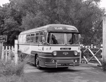 Leyland Tiger Cub PSUC1/2 Yeates Europa [UK-spec] (DP43F) '1958