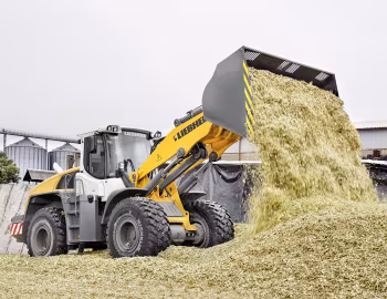 Liebherr L 556 '2014–pr.