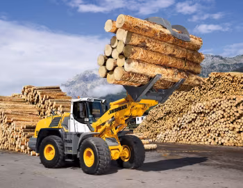 Liebherr L 556 2plus2 '2007–????