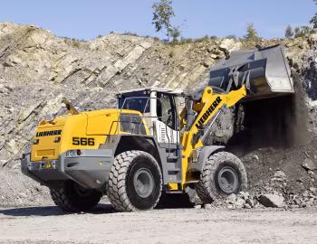 Liebherr L 566 '2014–19