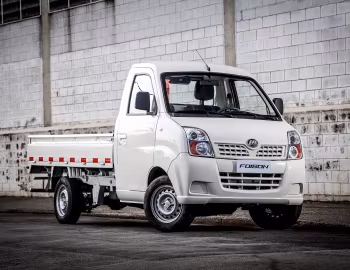 Lifan Foison Truck '2011–16