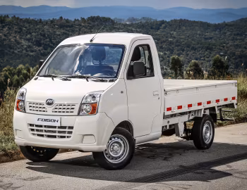 Lifan Foison Truck '2011–16